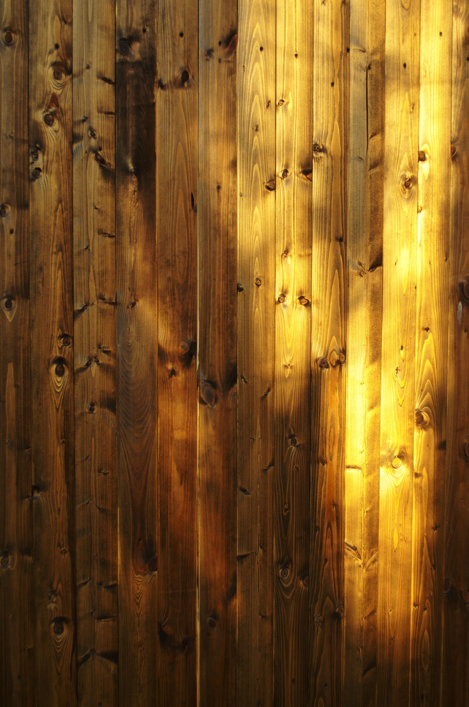 Nikon D3100 sample photo. Wood, wall, sun photography
