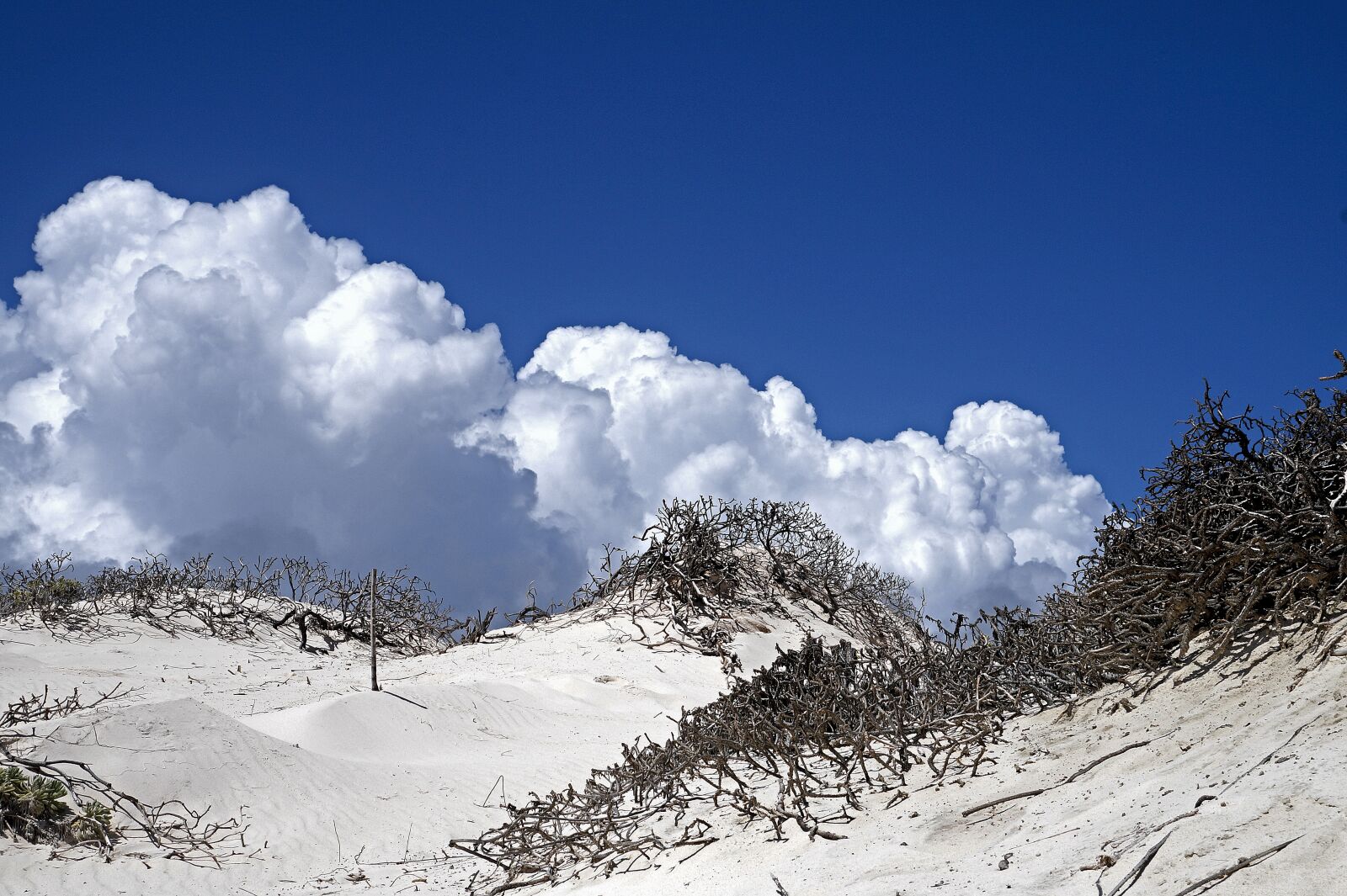 Sony Alpha a3000 sample photo. Clouds, air, blue sky photography