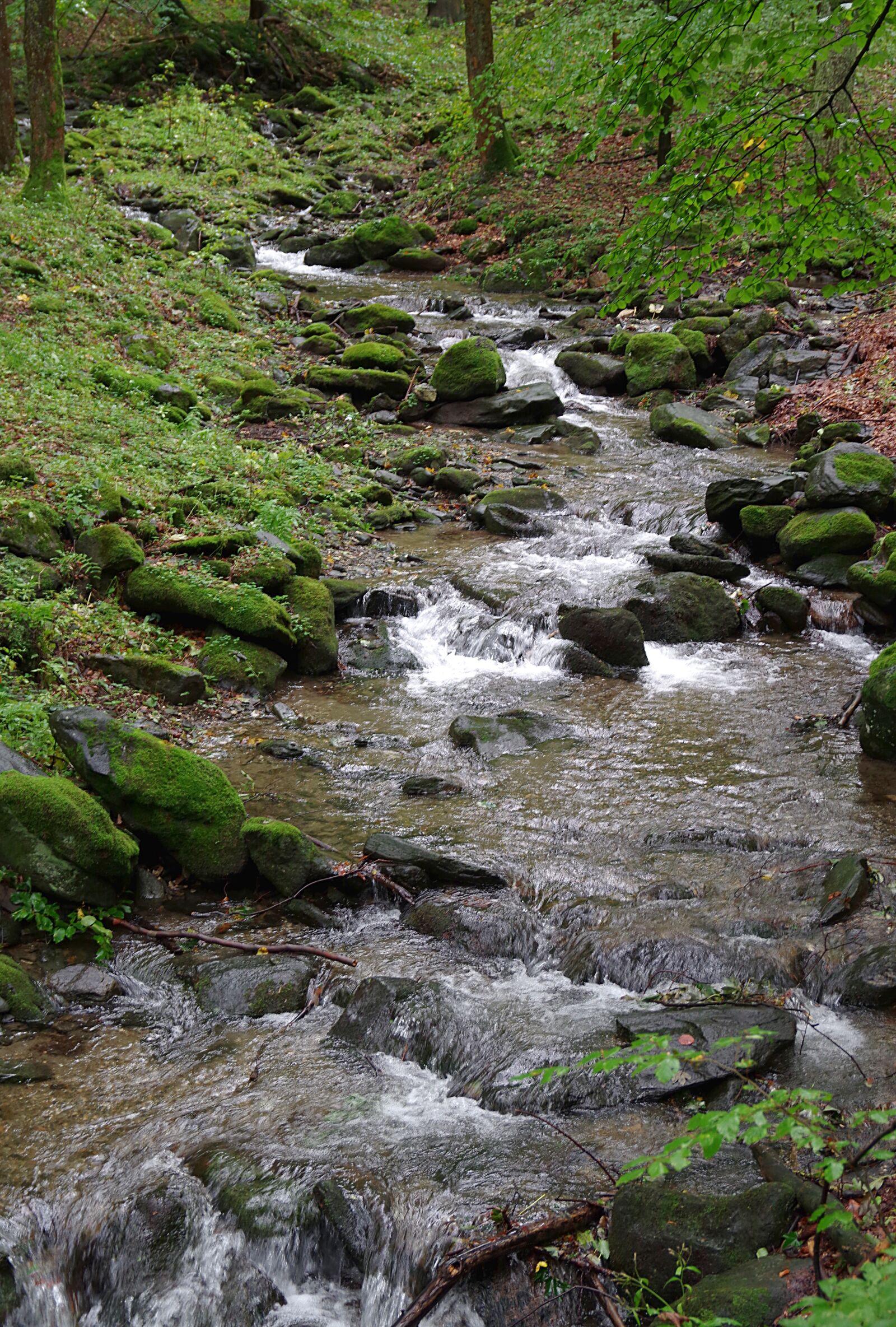 Pentax K-S2 sample photo. Stream, torrent, mountain photography