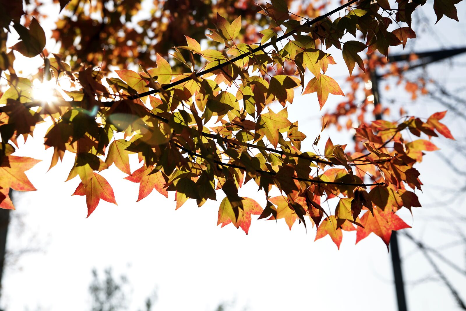 Canon EOS 5D Mark II sample photo. City, landscape, cloud photography