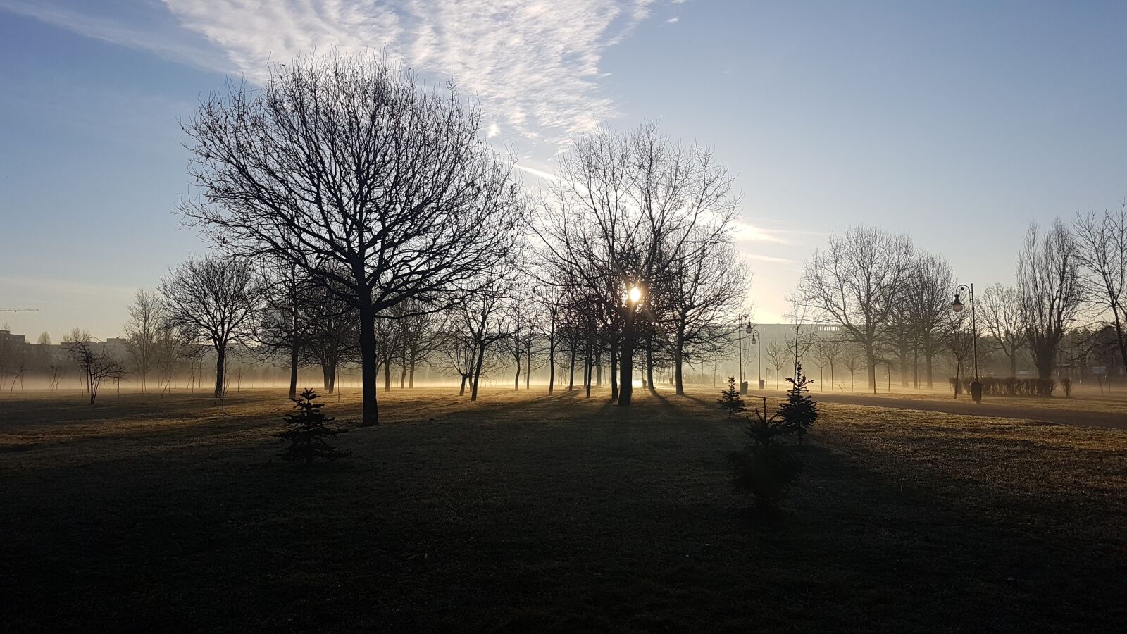 Samsung Galaxy S7 sample photo. Steam, fog, trees photography