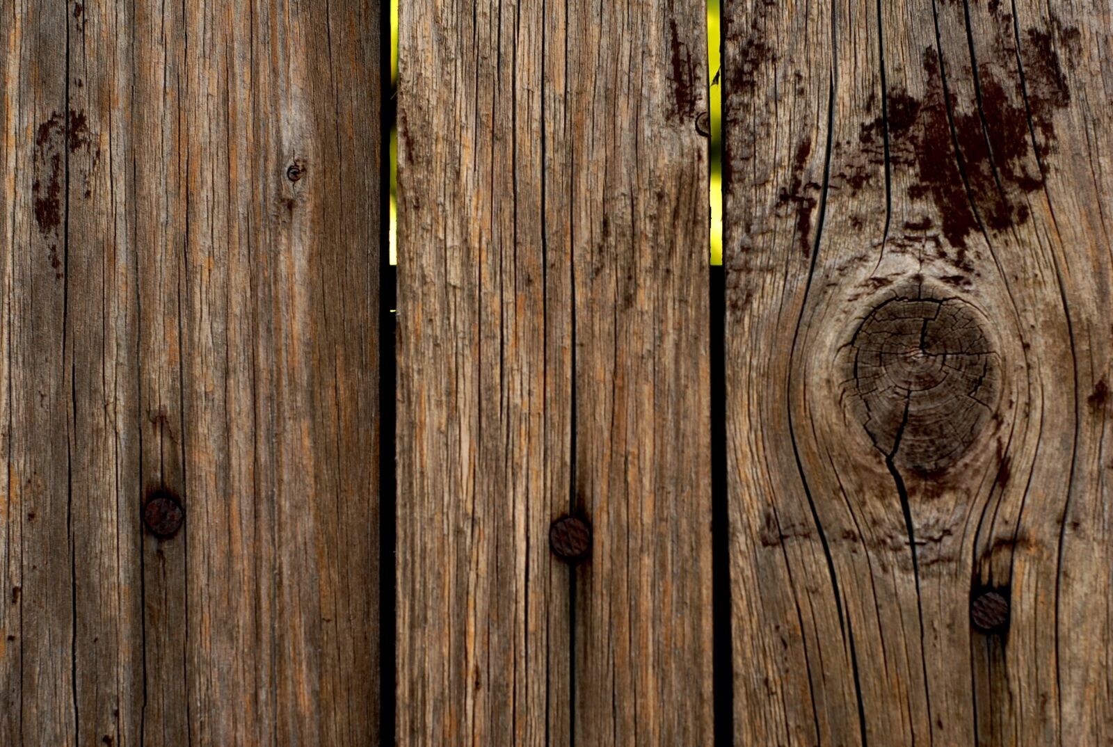 Nikon D200 sample photo. Fence, wood, knot photography