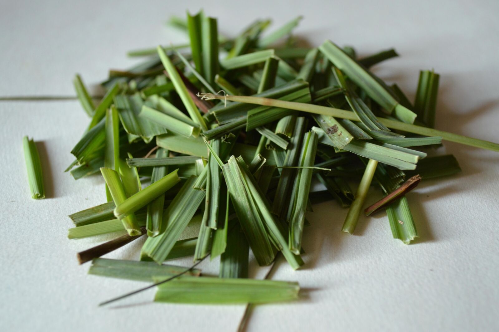 Nikon D3200 sample photo. Lemongrass, leaf, green, spice photography