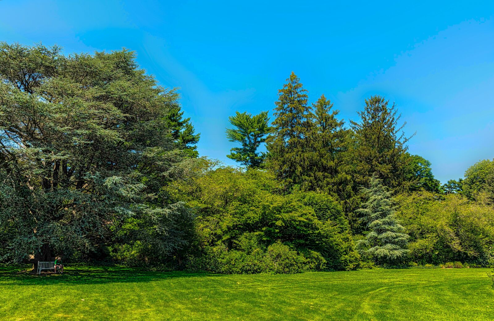 Nikon D750 sample photo. Nature, trees, landscape photography