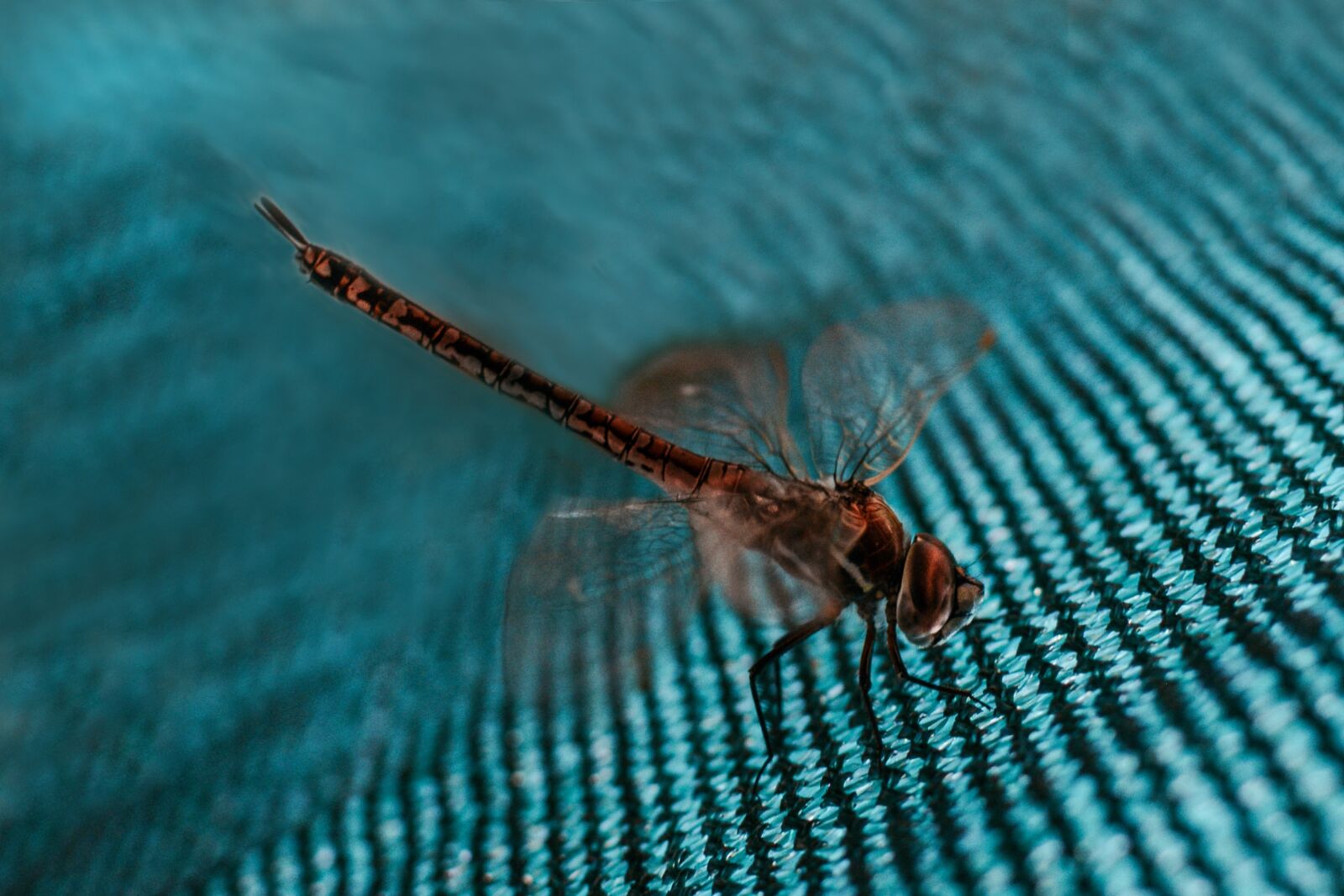 Nikon D7100 sample photo. Body of water, nature photography