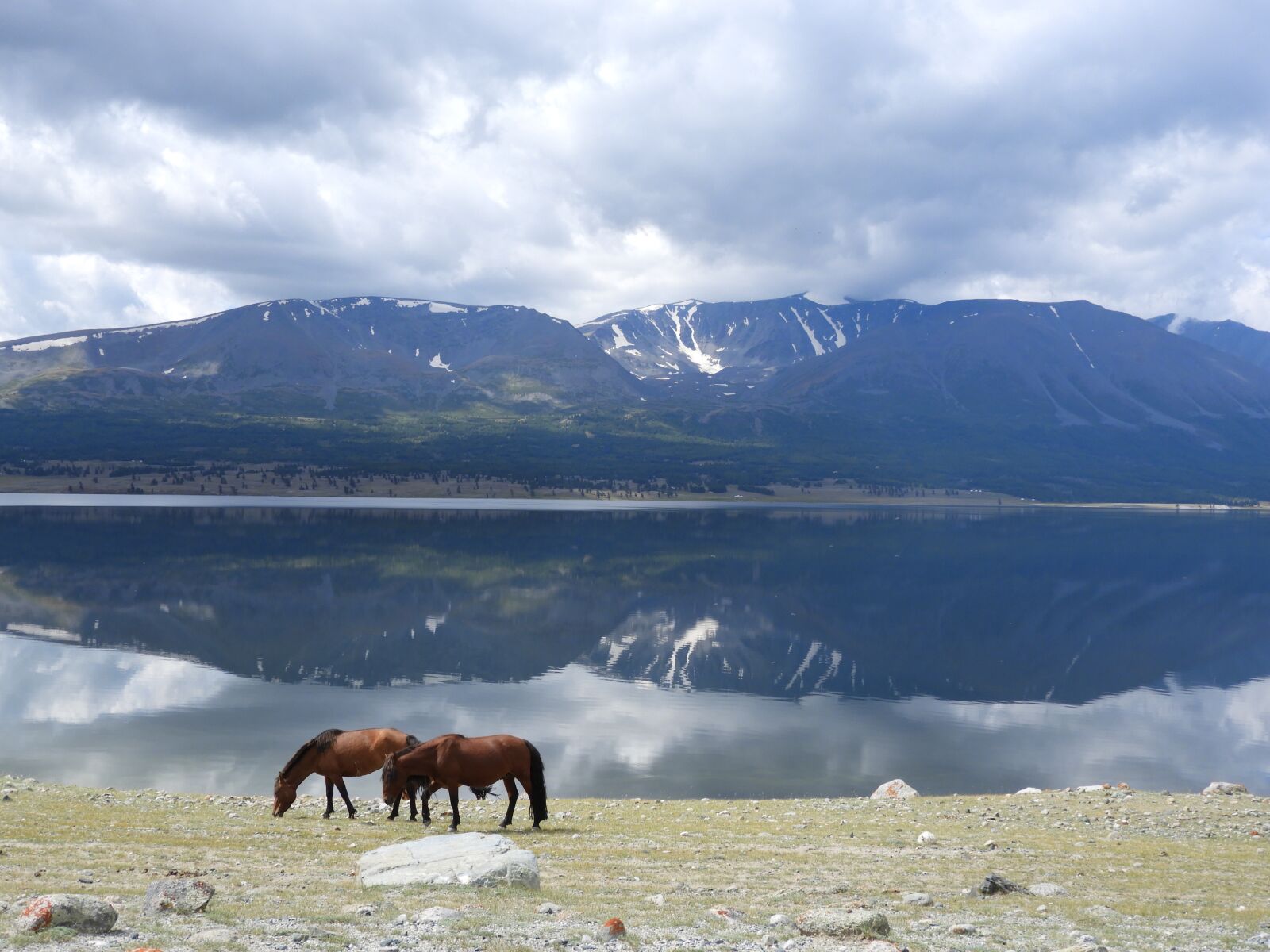 Nikon Coolpix B700 sample photo. Mountains, lake, horses photography