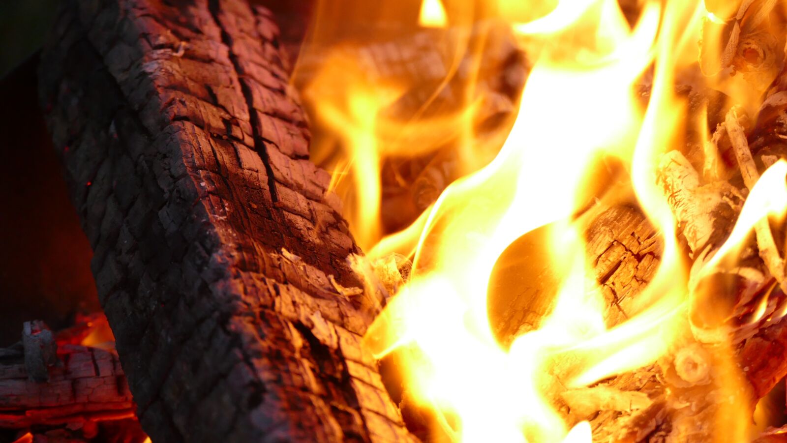 Panasonic Lumix DMC-FZ1000 sample photo. Fire, fire bowl, night photography