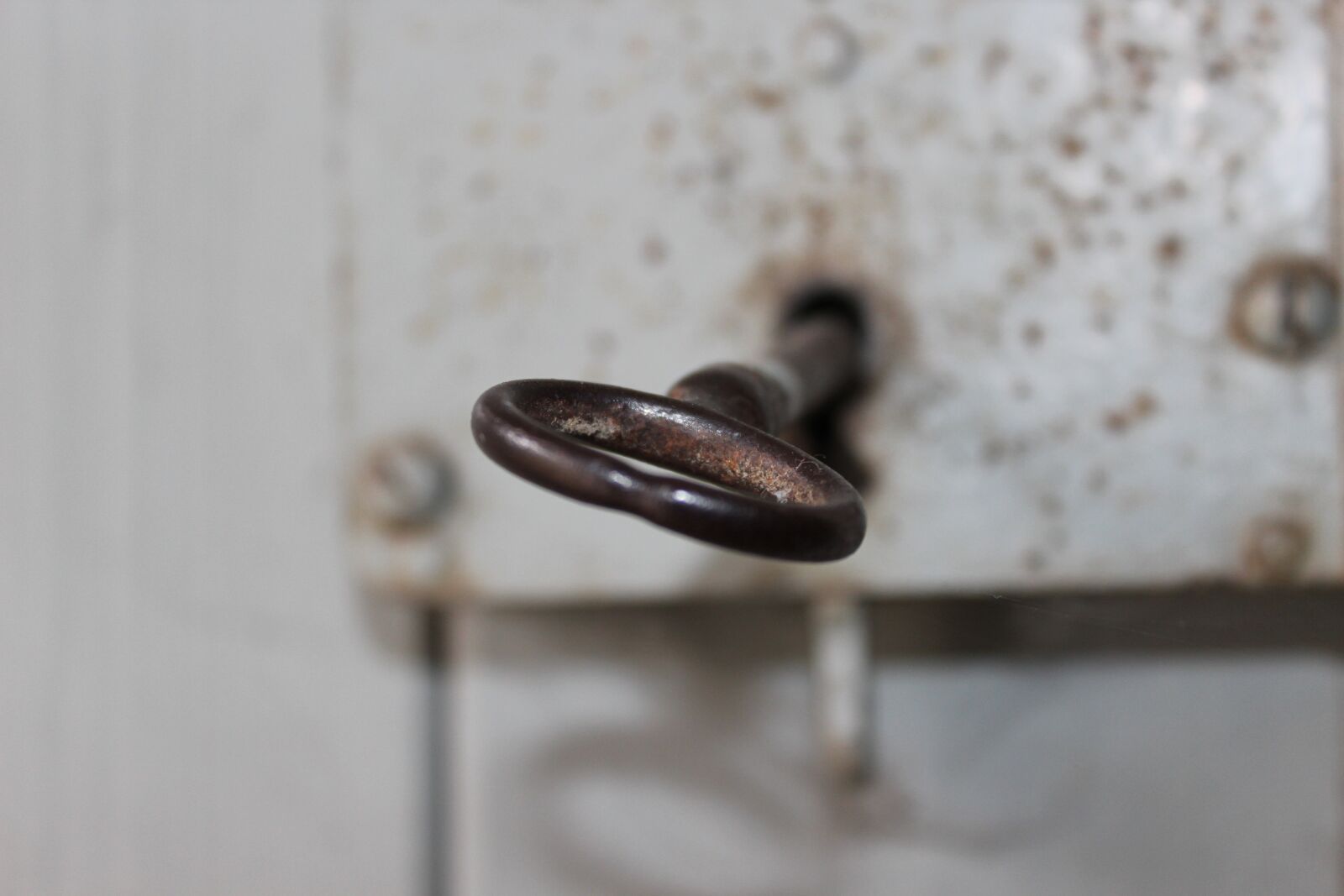 Canon EOS 600D (Rebel EOS T3i / EOS Kiss X5) sample photo. Key, castle, metal photography