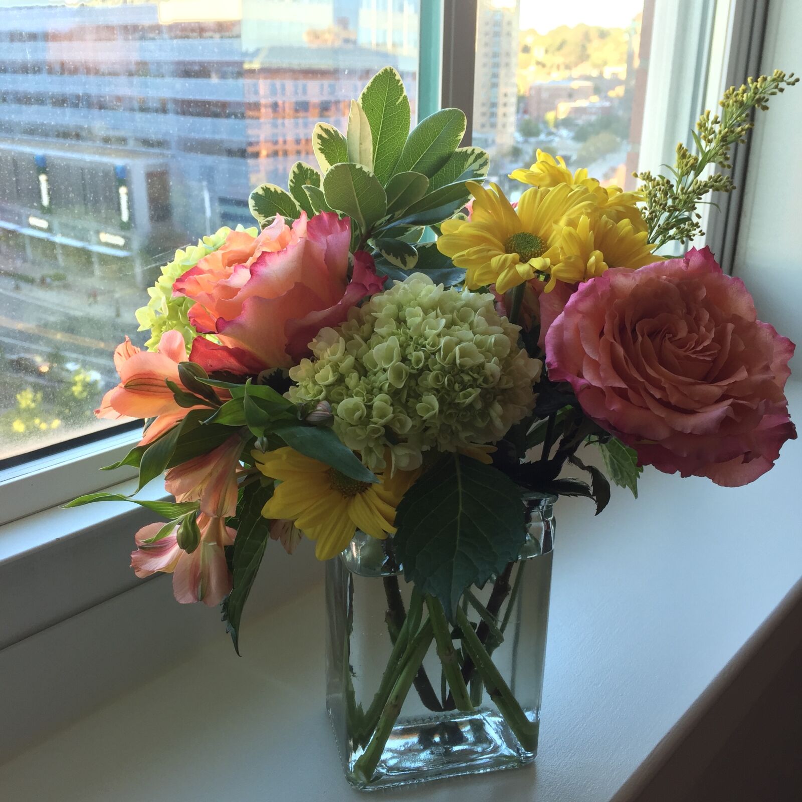 iPhone 6 Plus back camera 4.15mm f/2.2 sample photo