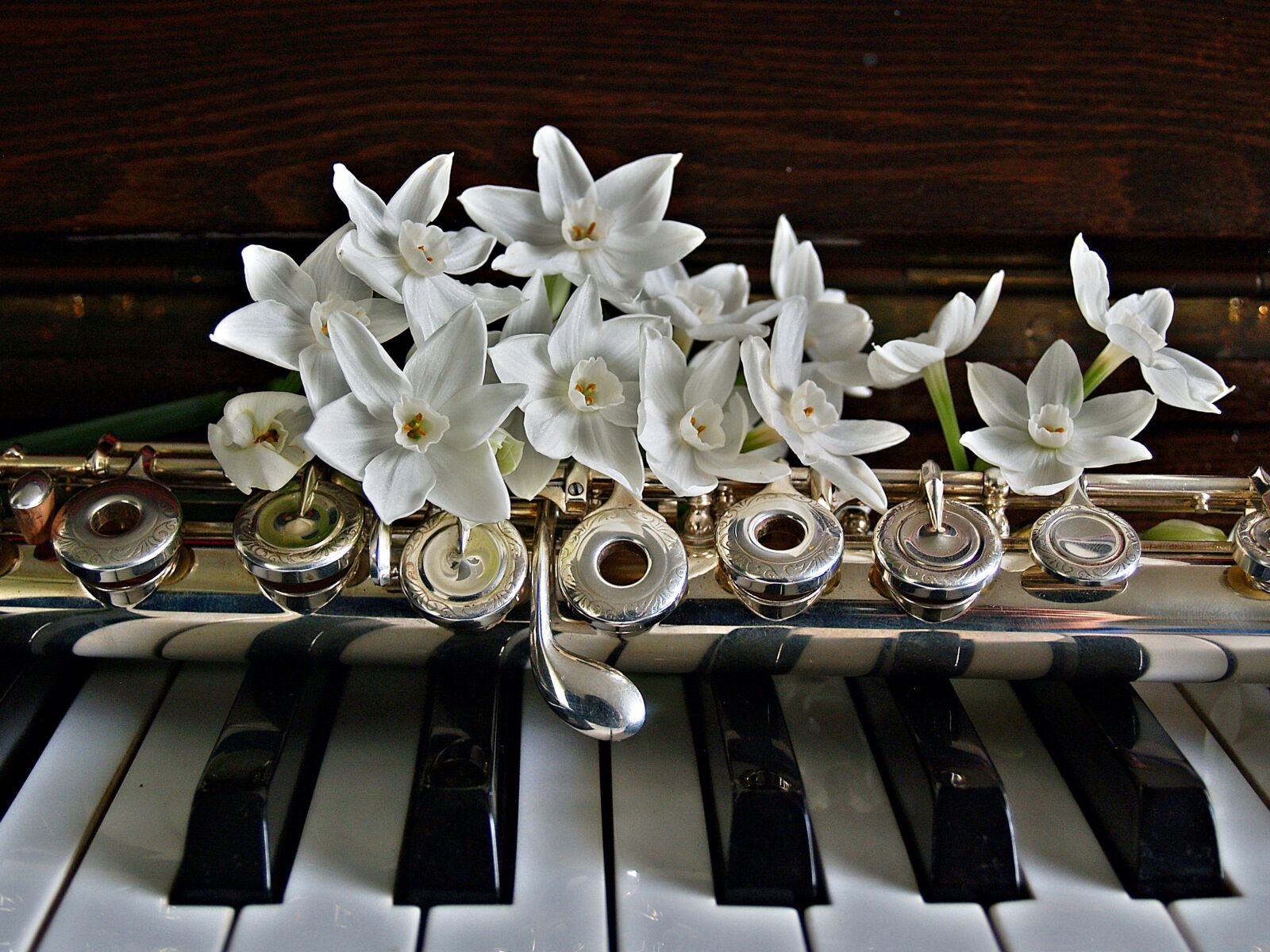 Olympus E-300 (EVOLT E-300) sample photo. Piano, flute, jonquils photography