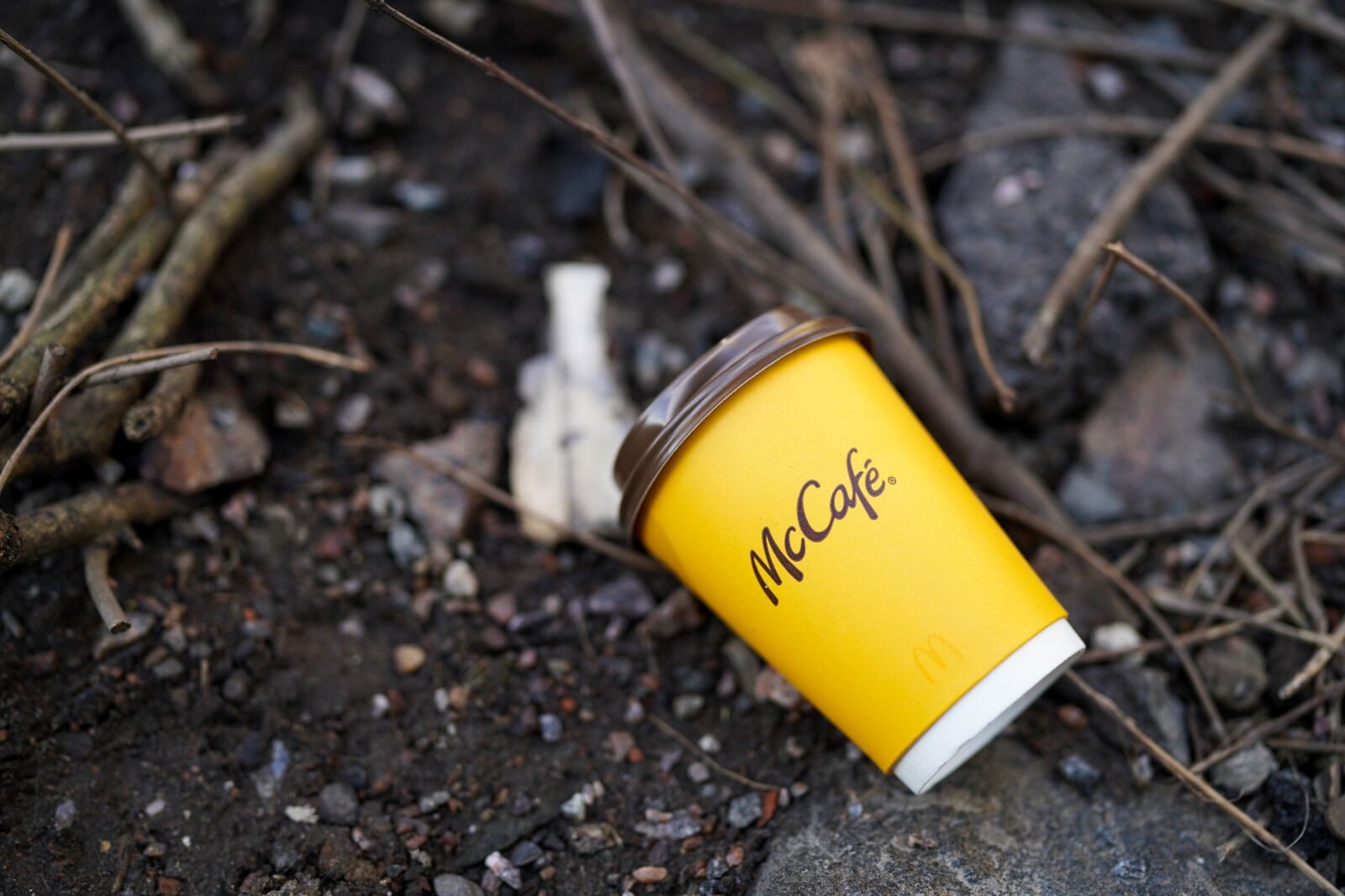 Sony a7R IV sample photo. Littering mccafe photography