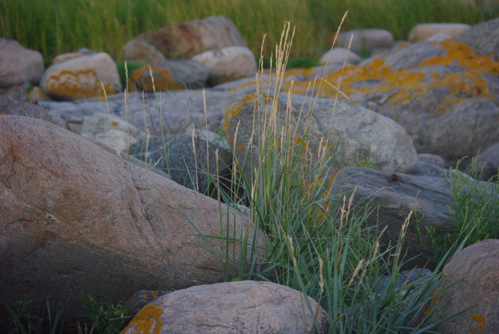 Pentax K-m (K2000) sample photo. Stones, nature, wild photography