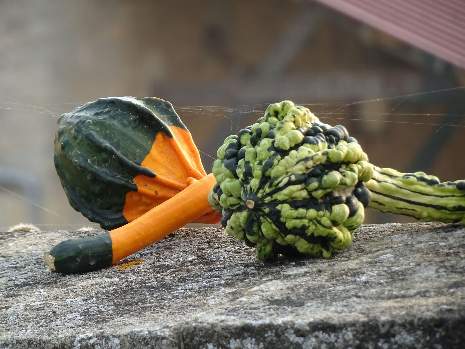 Sony Cyber-shot DSC-HX90V sample photo. Vegetables, halloween, fall photography