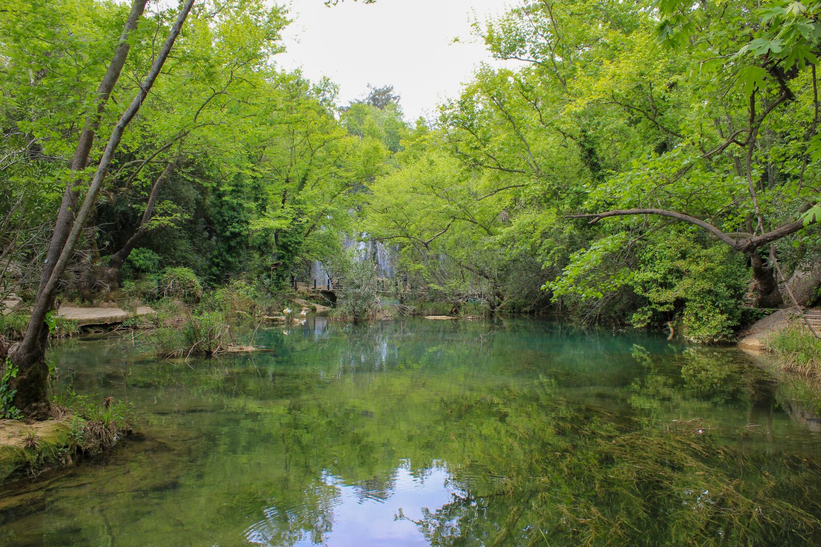 Canon EOS 550D (EOS Rebel T2i / EOS Kiss X4) sample photo. Landscape, lake, tree photography