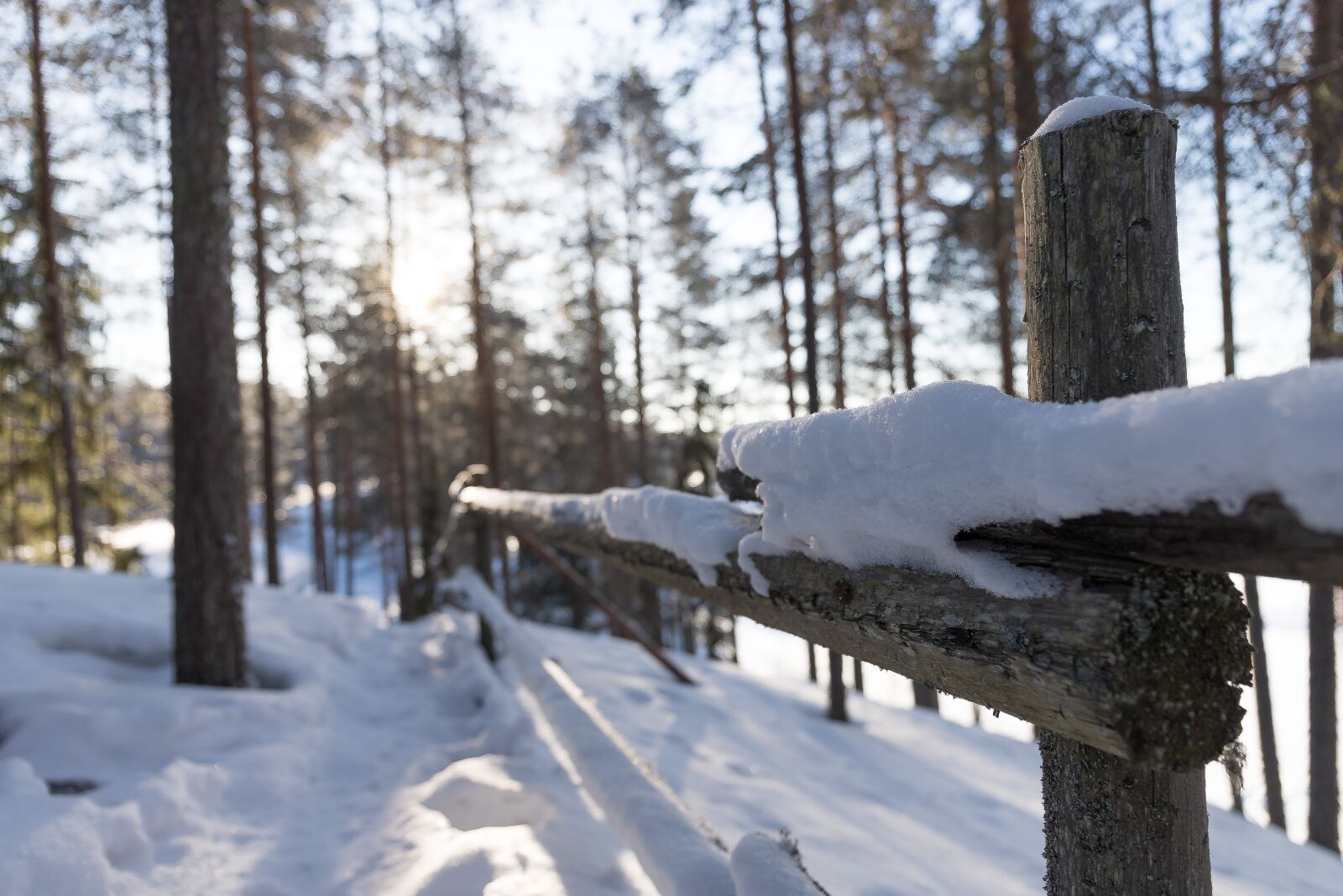 Canon EF 24-70mm F4L IS USM sample photo. Snow, winter, wood photography