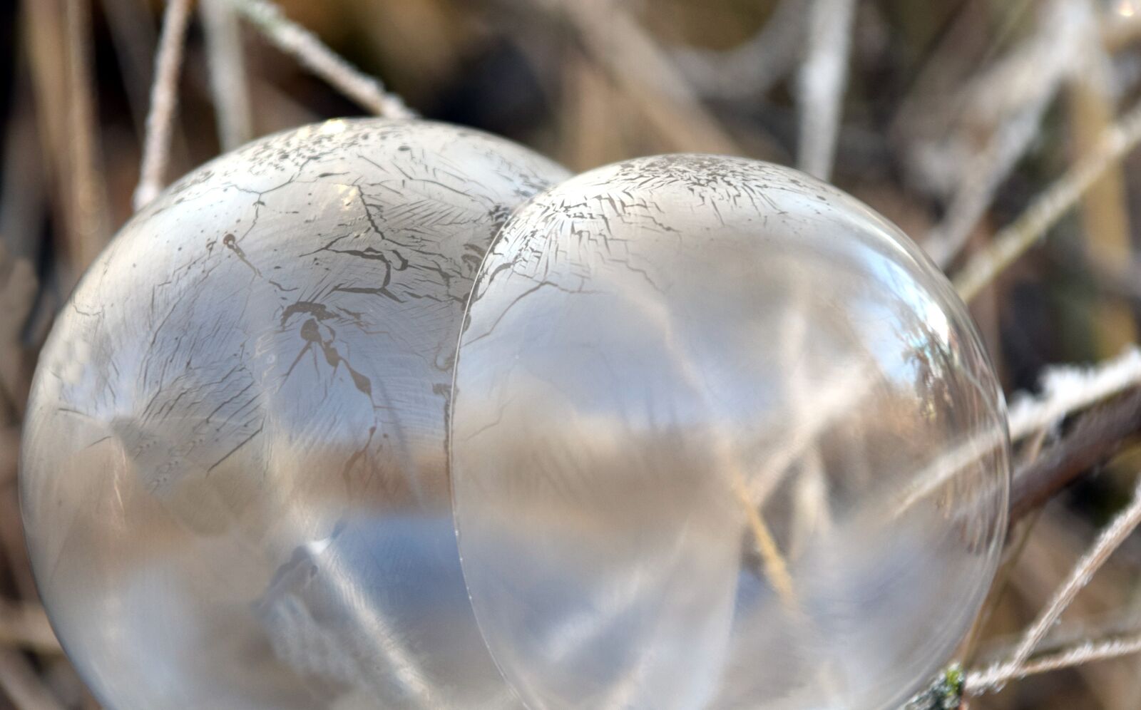 Nikon D3300 sample photo. Bubble, soap bubble, balls photography