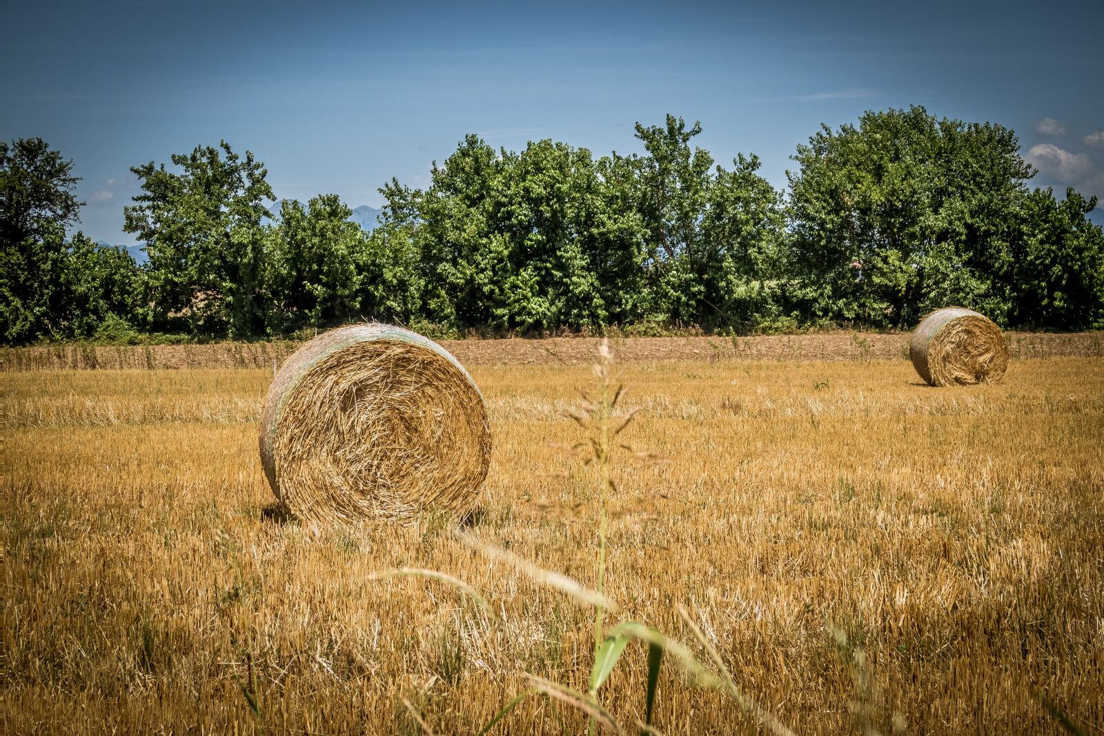 Canon PowerShot G7 X Mark II sample photo. Bales, hay, bale photography