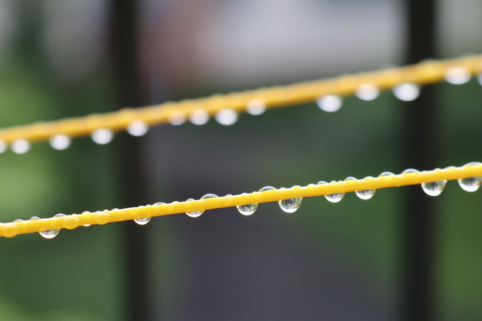 Canon EF-M 18-150mm F3.5-6.3 IS STM sample photo. Droplets, water, weather photography
