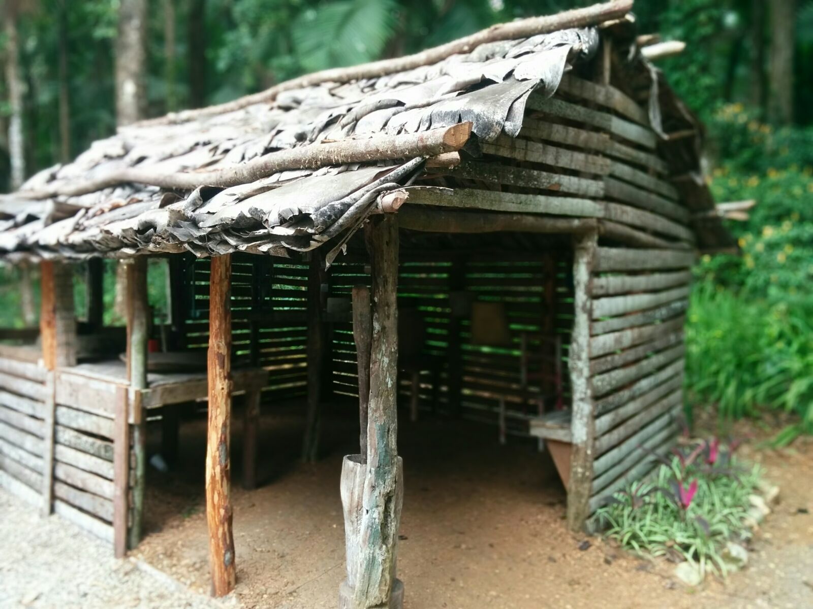 LG Nexus 5 sample photo. Choza, cabin, hut photography