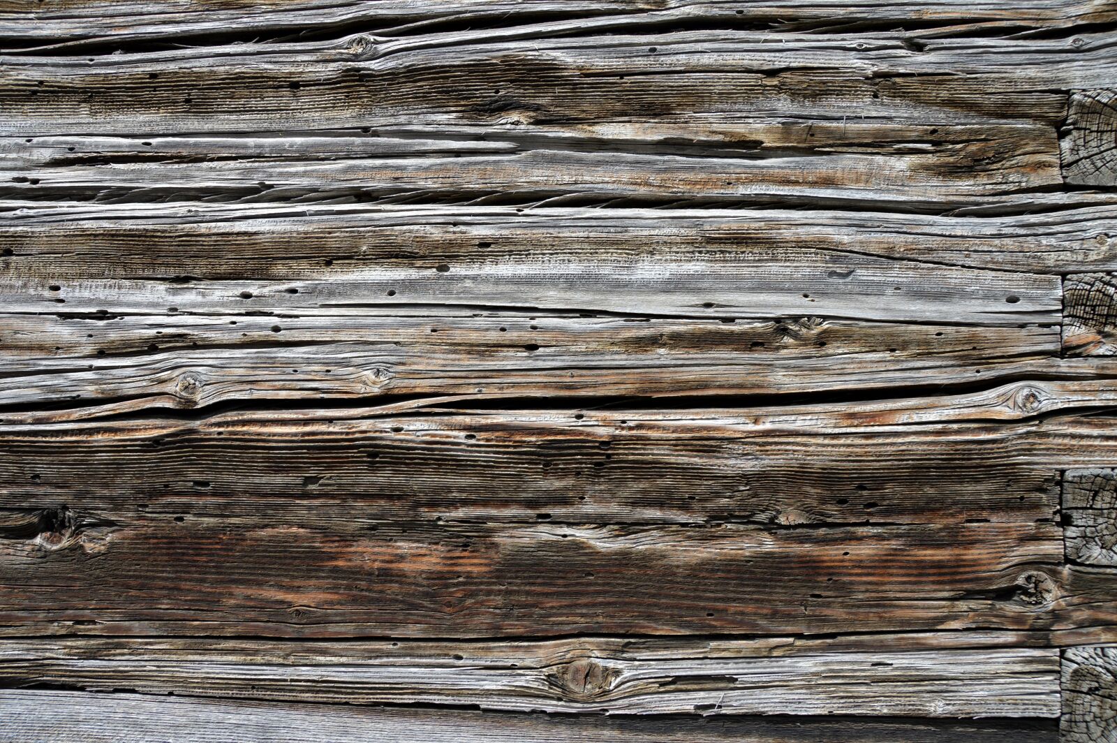 Nikon D3200 sample photo. Texture, wood grain, weathered photography
