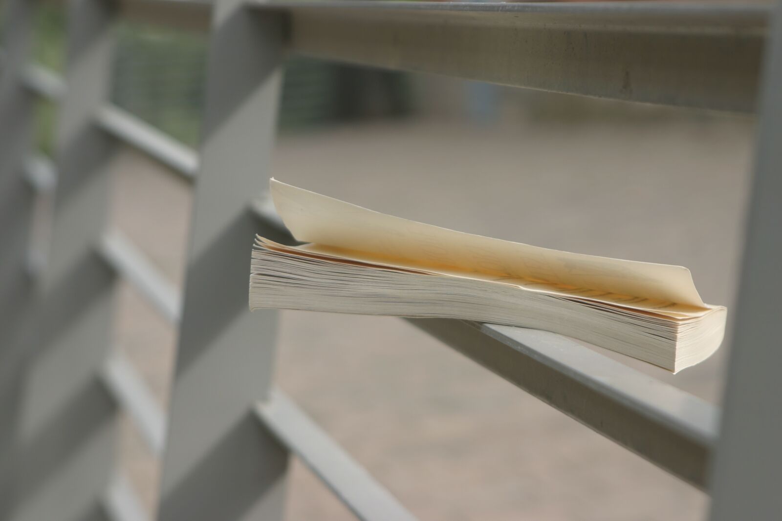 Canon EOS 10D sample photo. Book, perspective, creative photography
