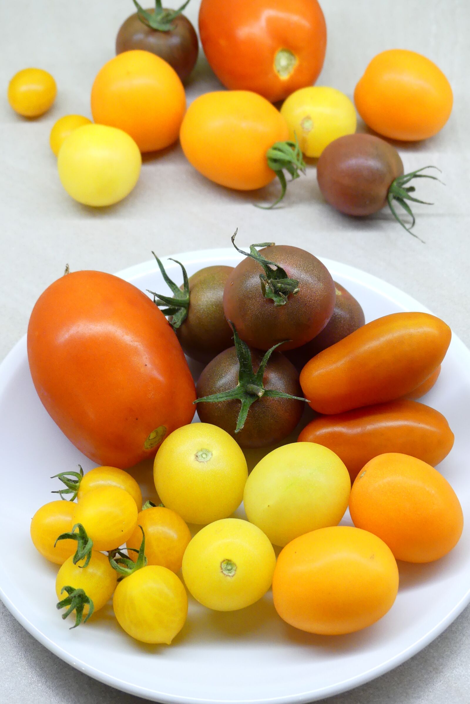 Panasonic Lumix DMC-FZ300 sample photo. Tomatoes, harvest, garden photography