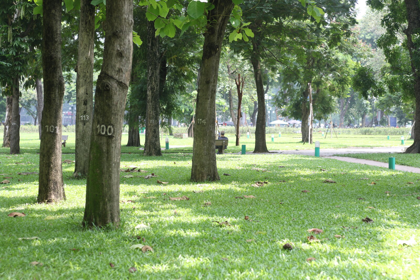 Canon EF 50mm F1.8 STM sample photo