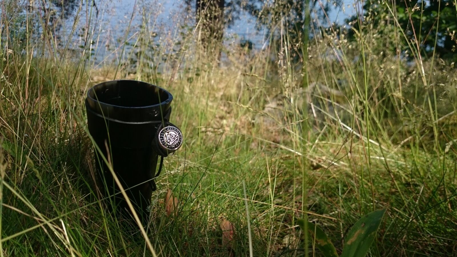 Sony Xperia Z1 sample photo. Horn, valknut, sütterlin photography