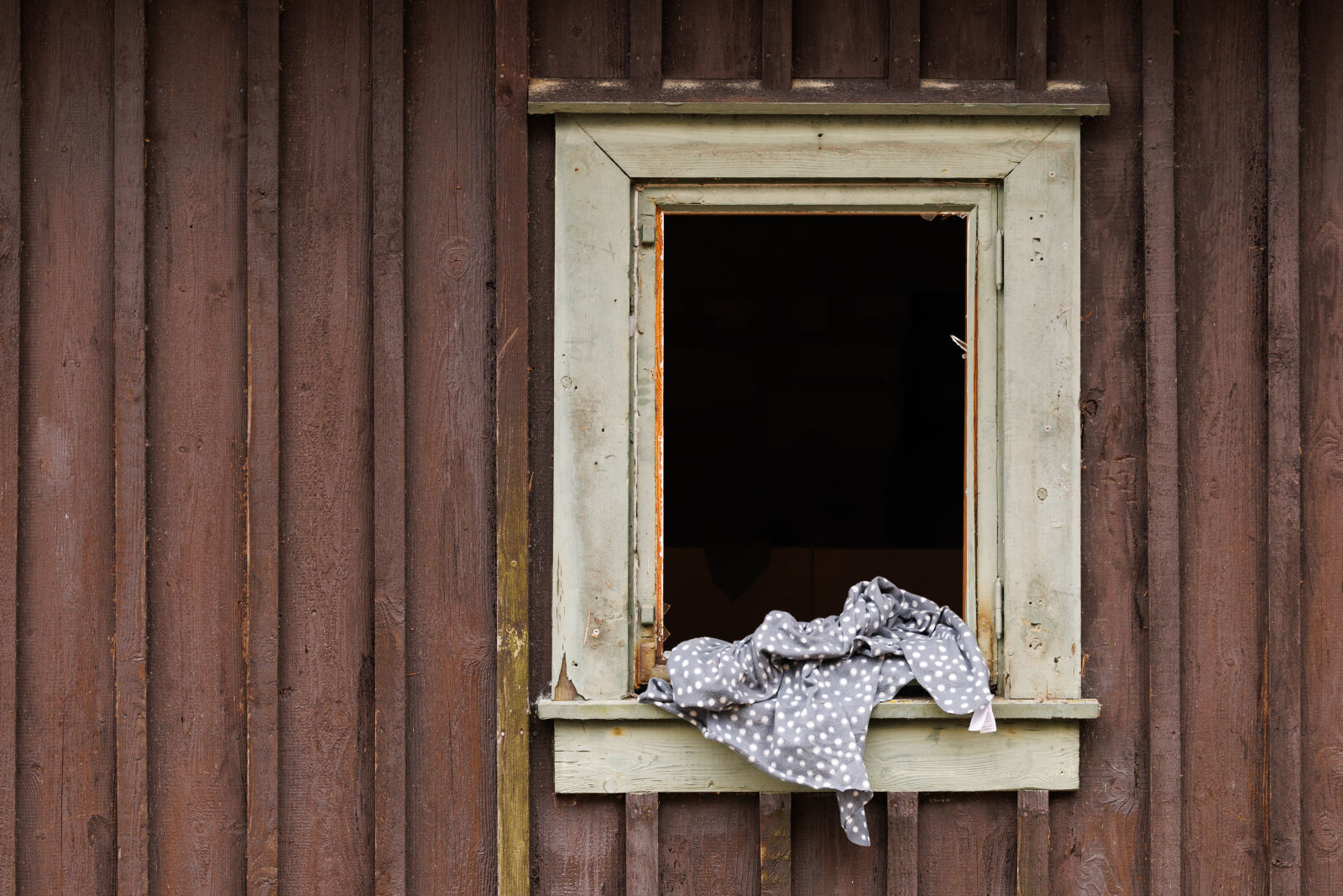 Canon EOS R1 sample photo. Old window photography