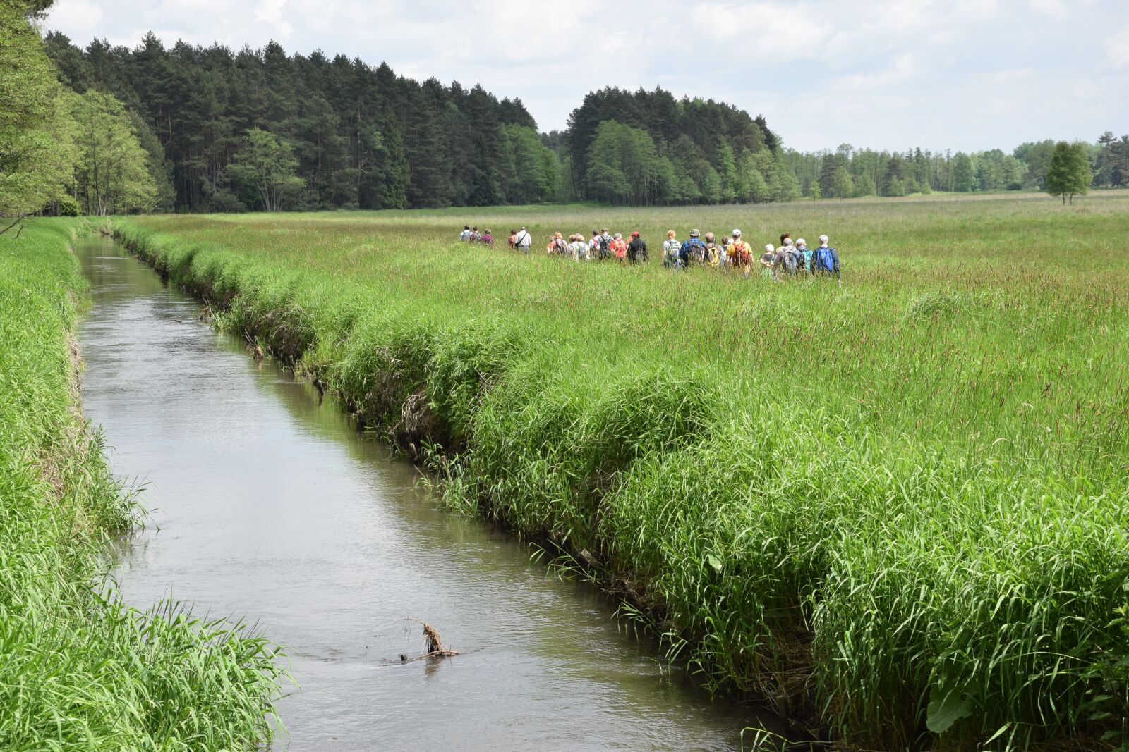 Nikon D5300 sample photo. Tour, tourism, meadow photography