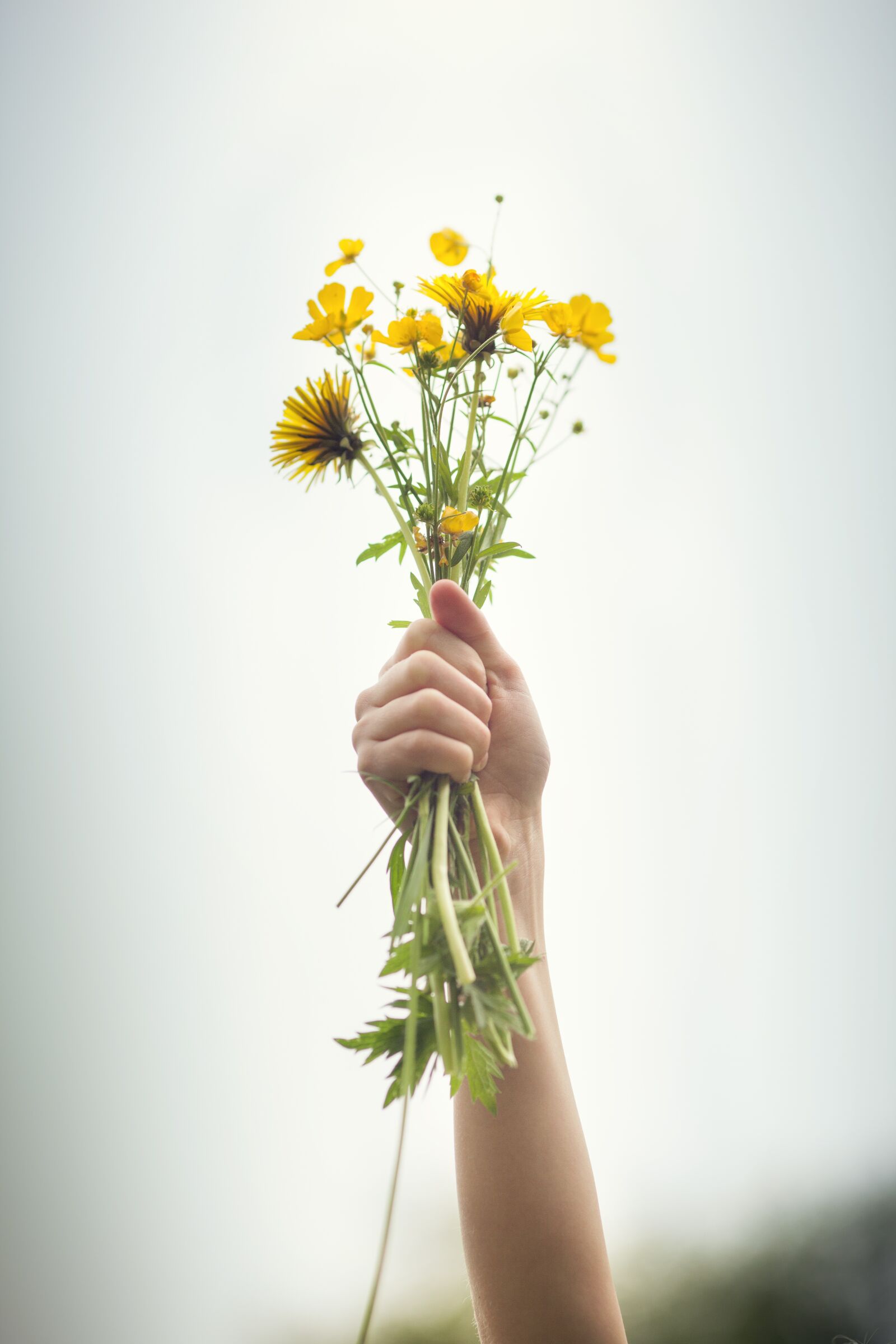 Canon EOS 5D Mark II + Canon EF 135mm F2L USM sample photo. Flowers, hand, bouquet photography