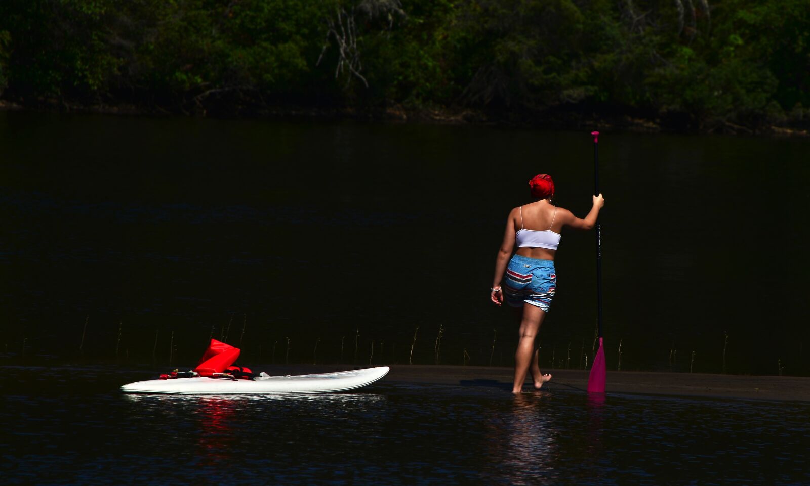Nikon D610 sample photo. Girl, nature, board photography