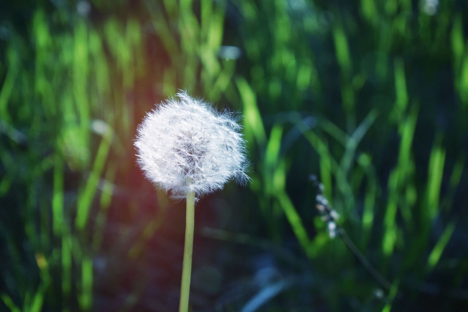 Nikon D5300 sample photo. Nature, poland, landscape photography