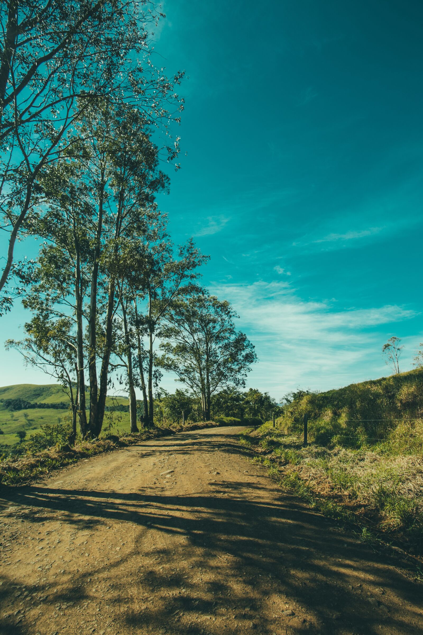Canon EOS 6D + Canon EF 17-40mm F4L USM sample photo. Tree, landscape, outdoors photography