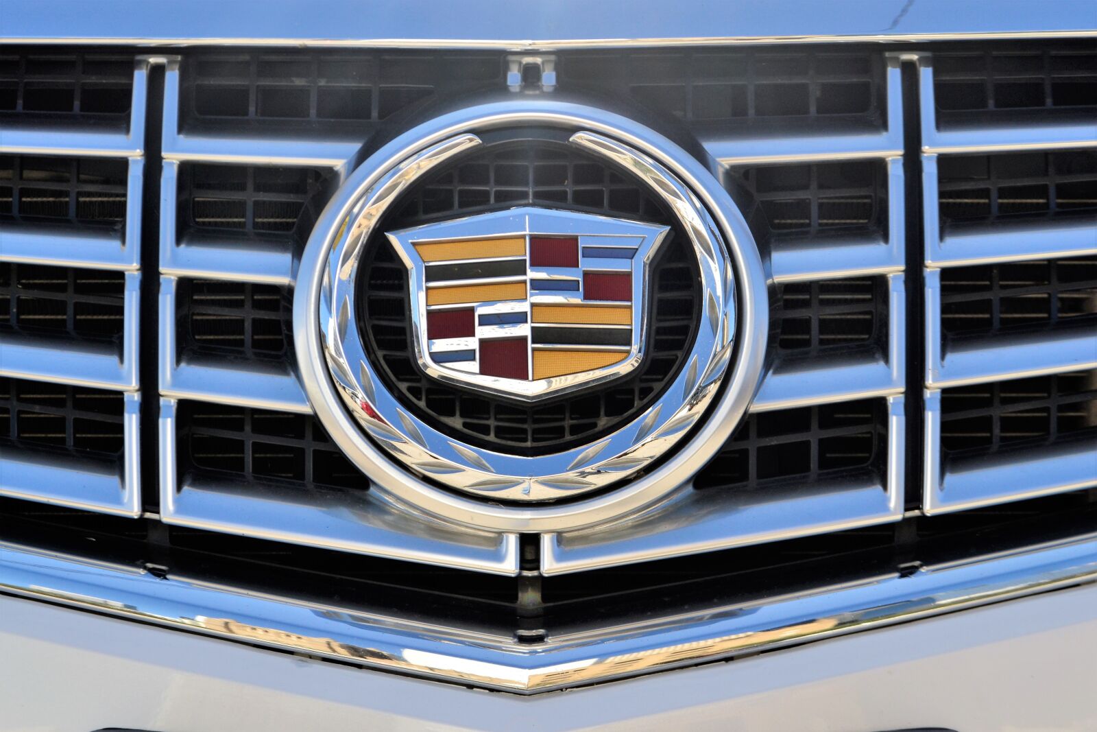 Nikon D3100 sample photo. Cadillac, emblem, 2017 photography