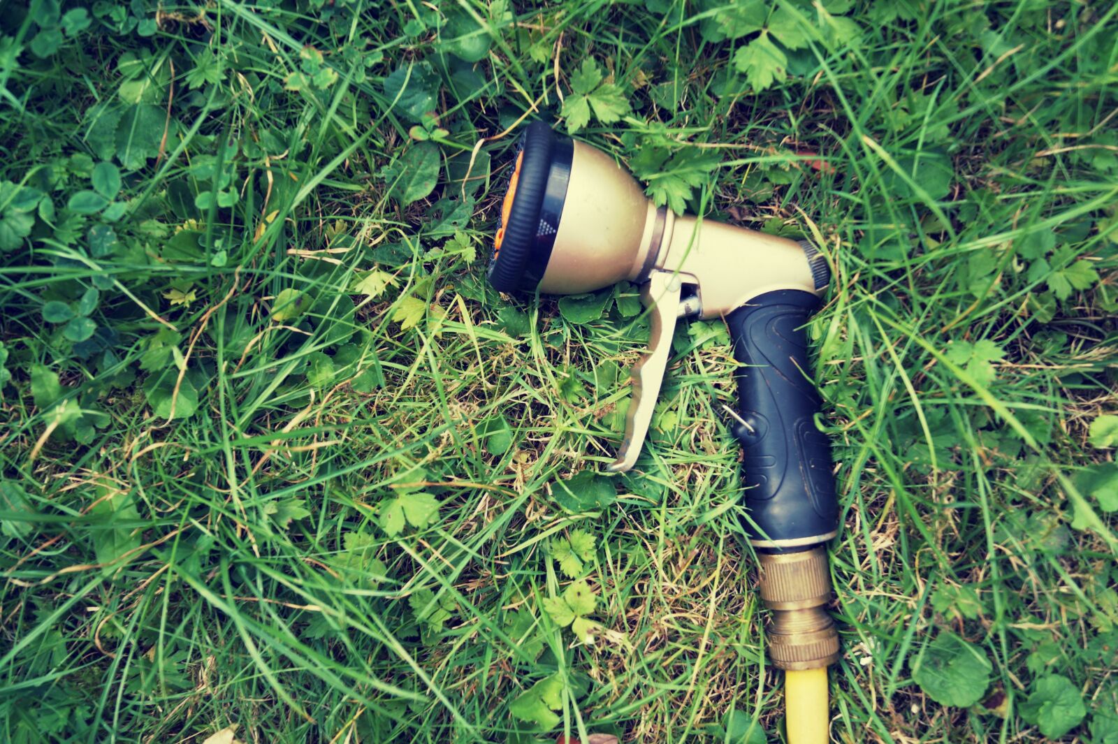 Sony SLT-A58 sample photo. Garden hose, water hose photography