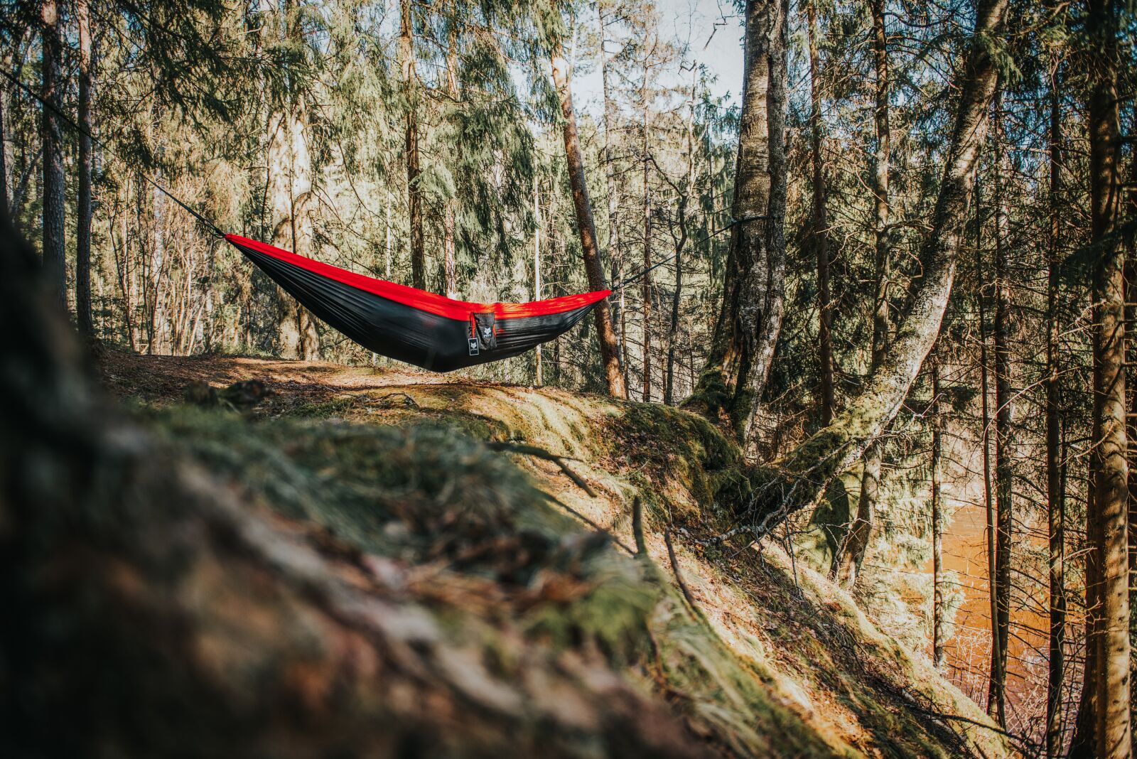 Nikon D750 sample photo. Hammock, camping, forest photography