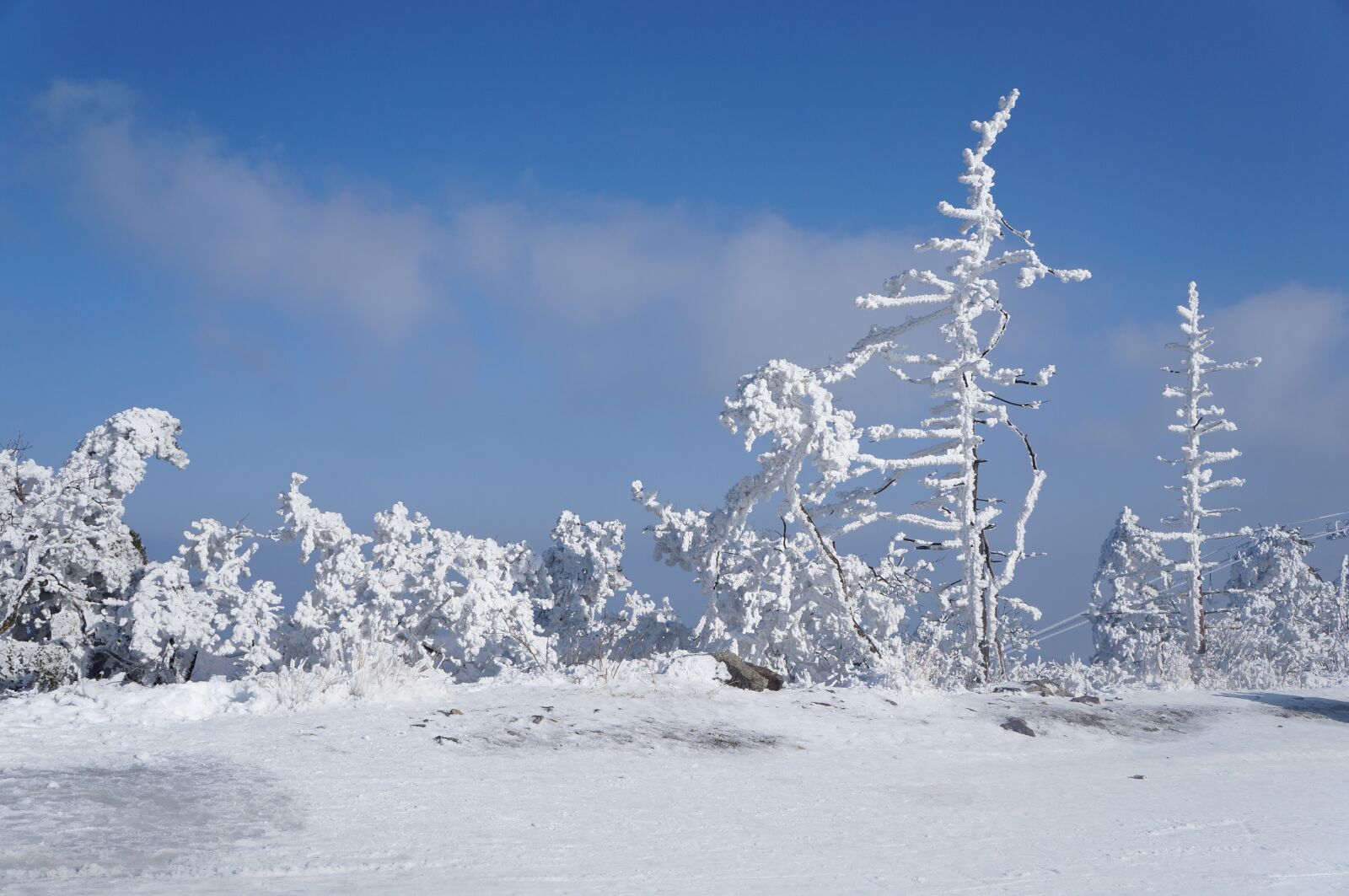 Sony Alpha NEX-F3 sample photo. Snow, korea, winter photography