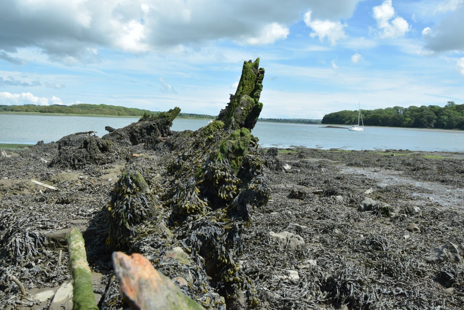 Nikon D3300 sample photo. Narberth, landshipping, tenby photography
