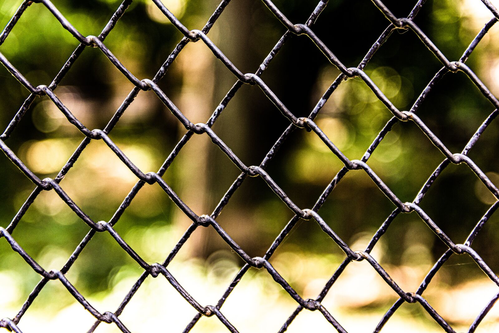 Nikon D7100 sample photo. Fence, structure, texture photography