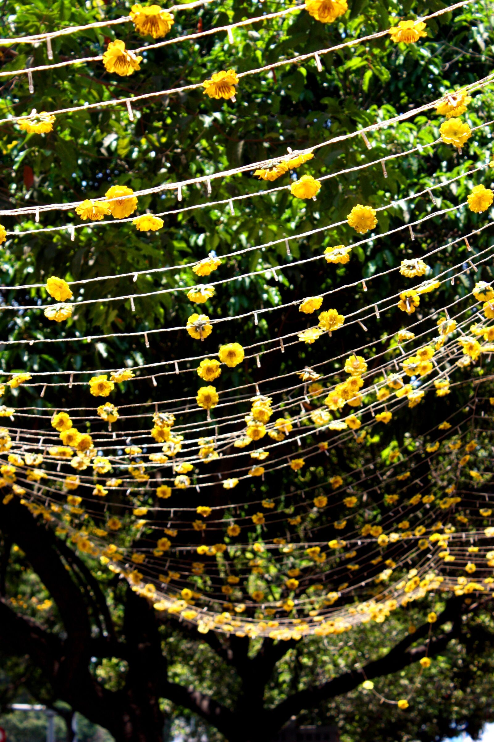 Canon EOS 450D (EOS Rebel XSi / EOS Kiss X2) sample photo. Flowers, garland, decoration photography