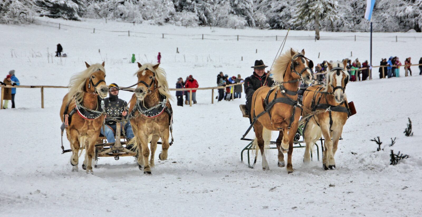 Canon EOS 550D (EOS Rebel T2i / EOS Kiss X4) sample photo. Snow, winter, cavalry photography