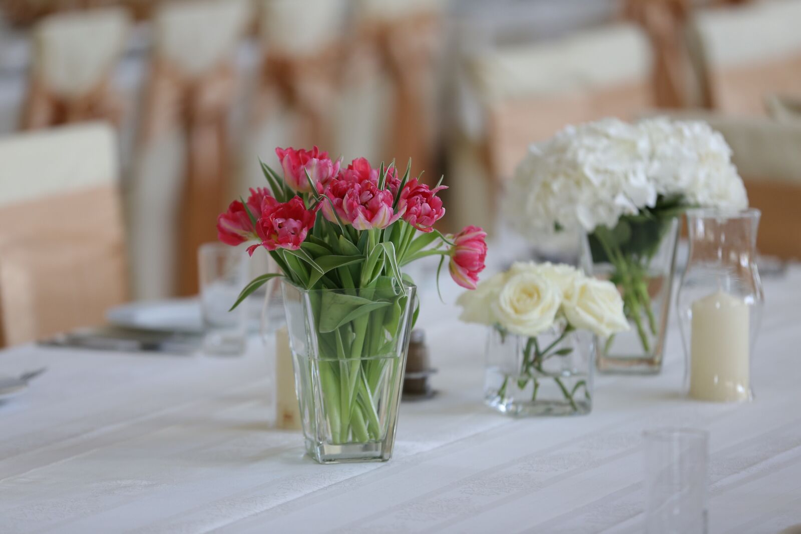 Canon EOS 6D sample photo. Candle, vase, candlestick, tulips photography