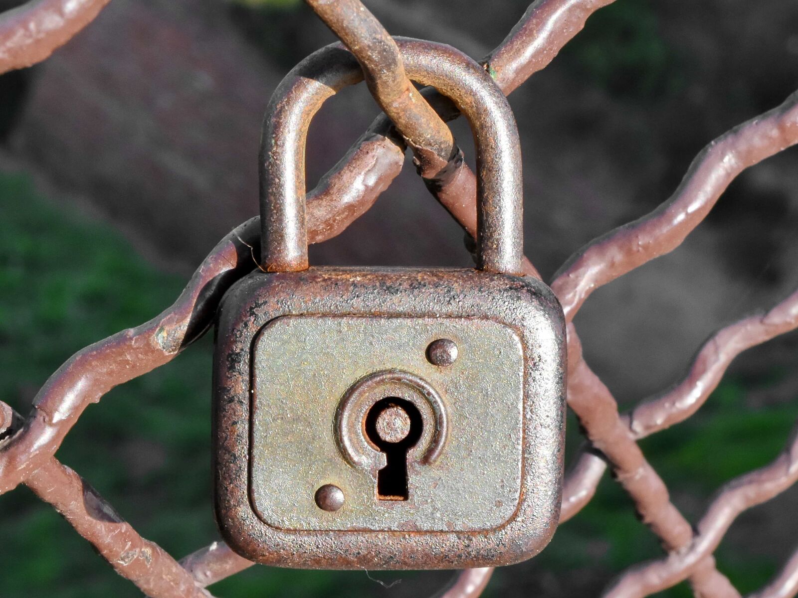 Nikon D5500 sample photo. Fastener, device, lock, padlock photography