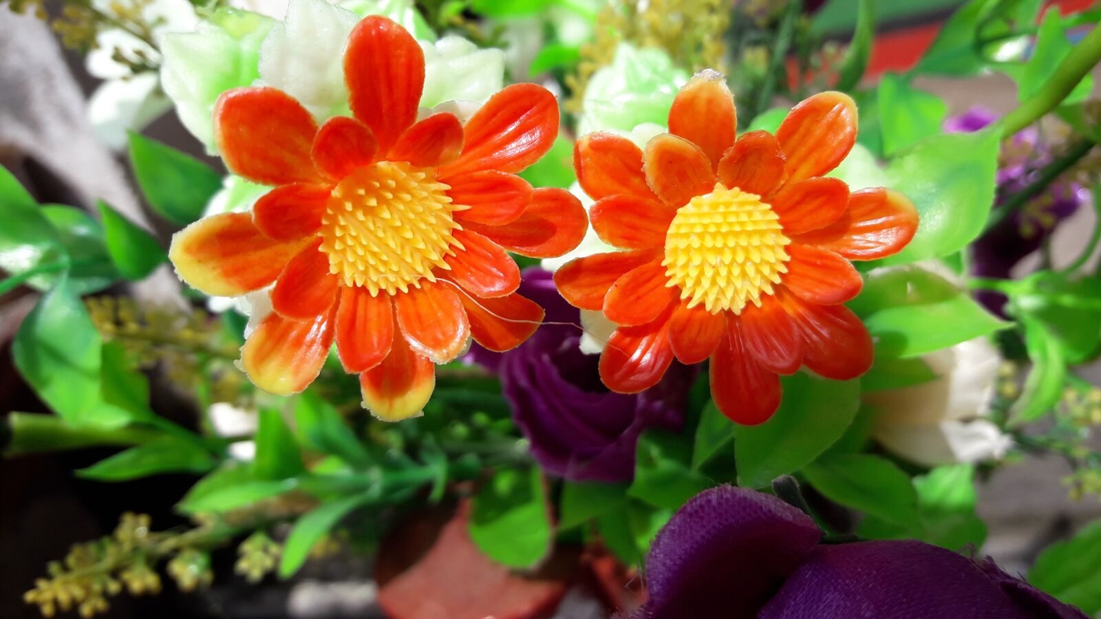 Samsung Galaxy J7 Neo sample photo. Flower images wallpaper, flower photography