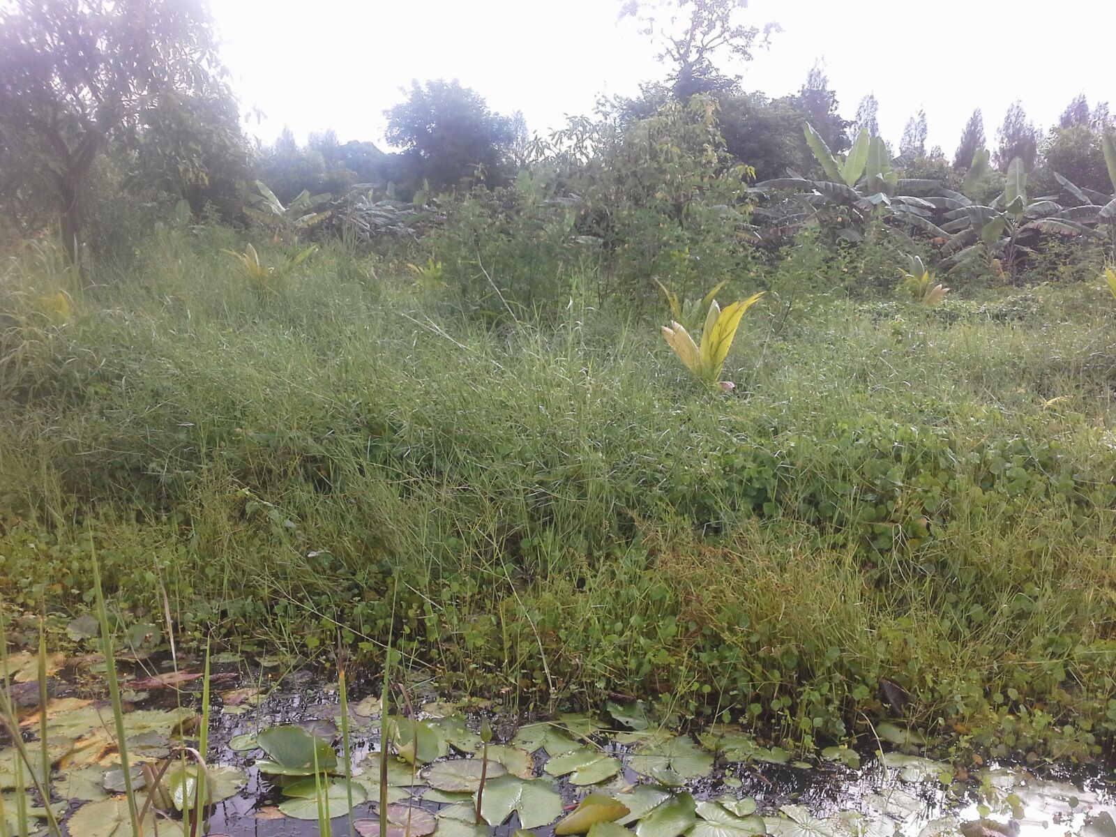 Samsung Galaxy Note 10.1 sample photo