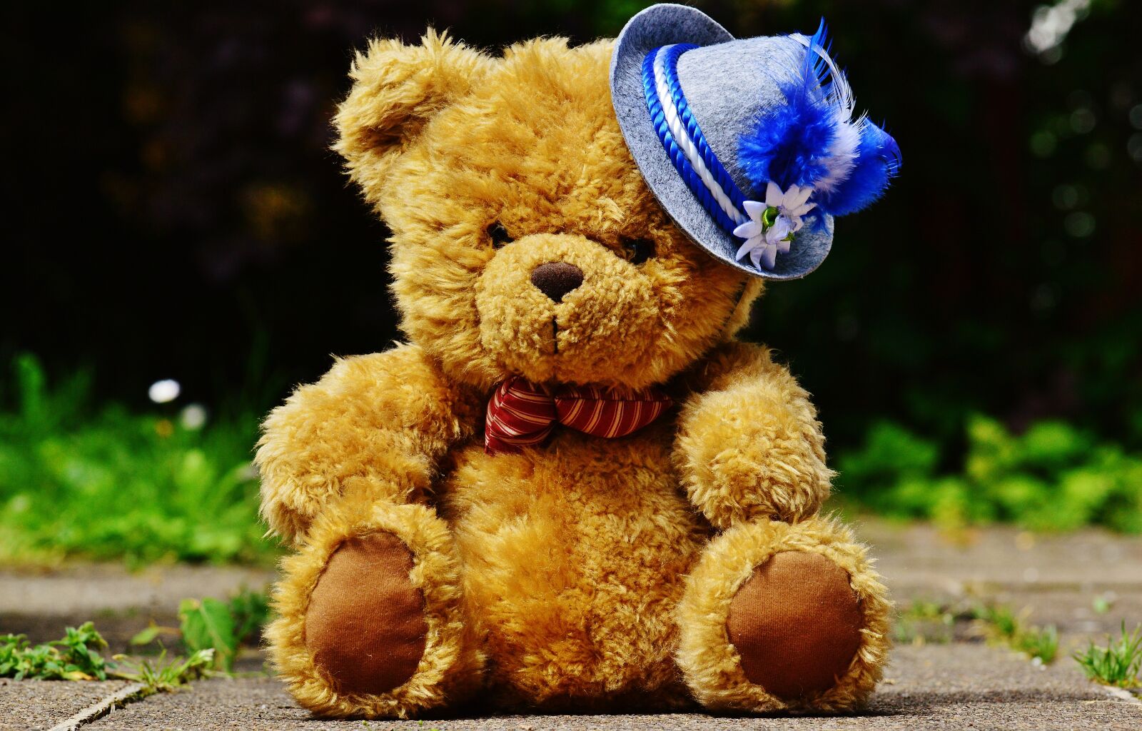 Nikon D3200 sample photo. Oktoberfest, teddy, hat photography