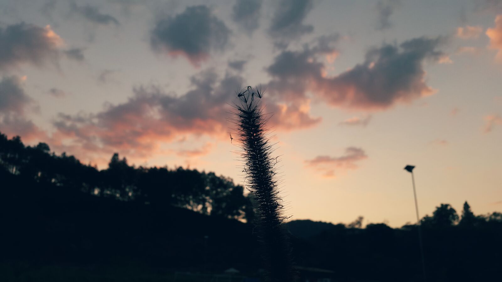 Samsung Galaxy S5 sample photo. Heaven, honduras, shadow, spike photography