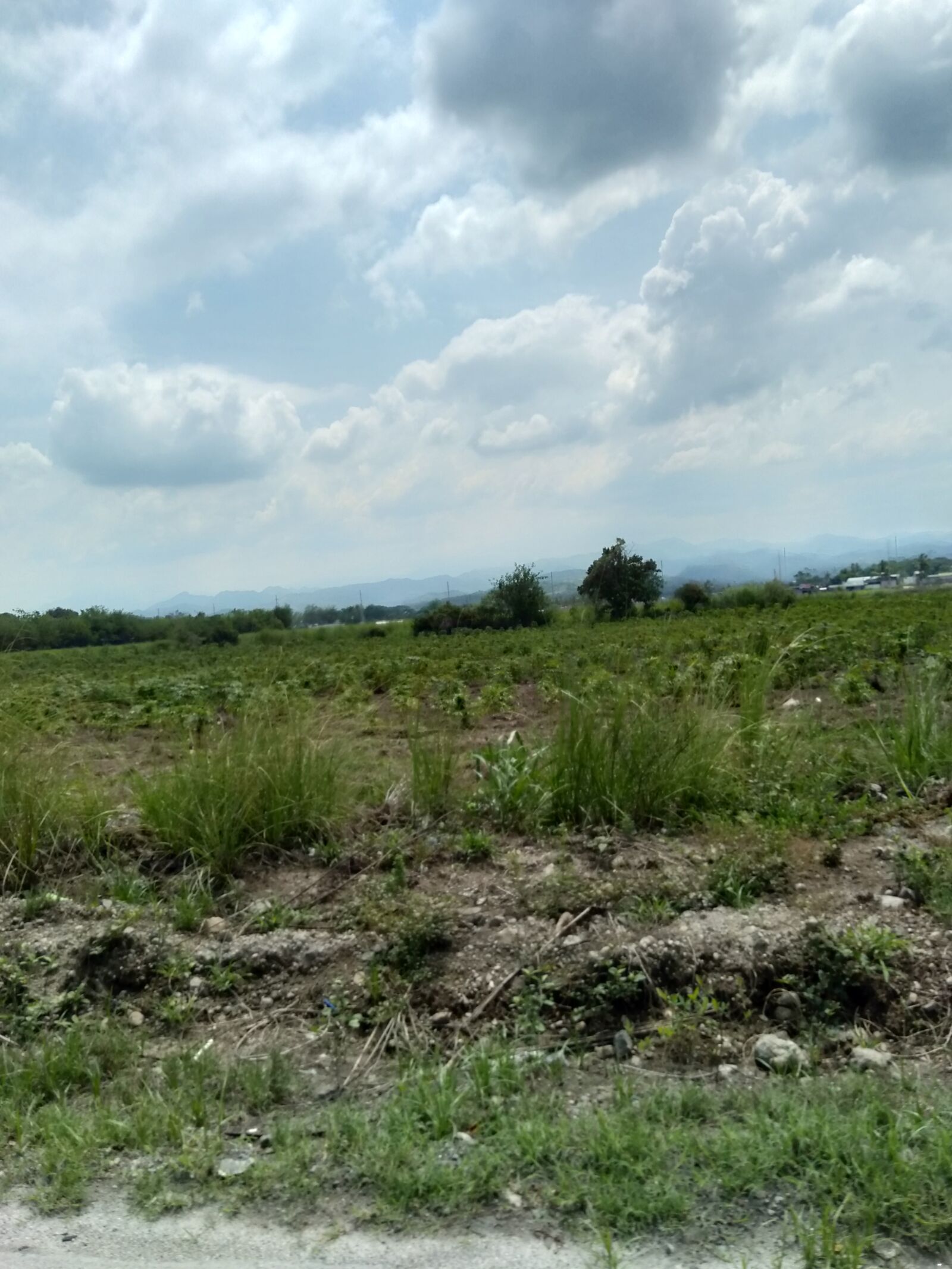 OPPO A3S sample photo