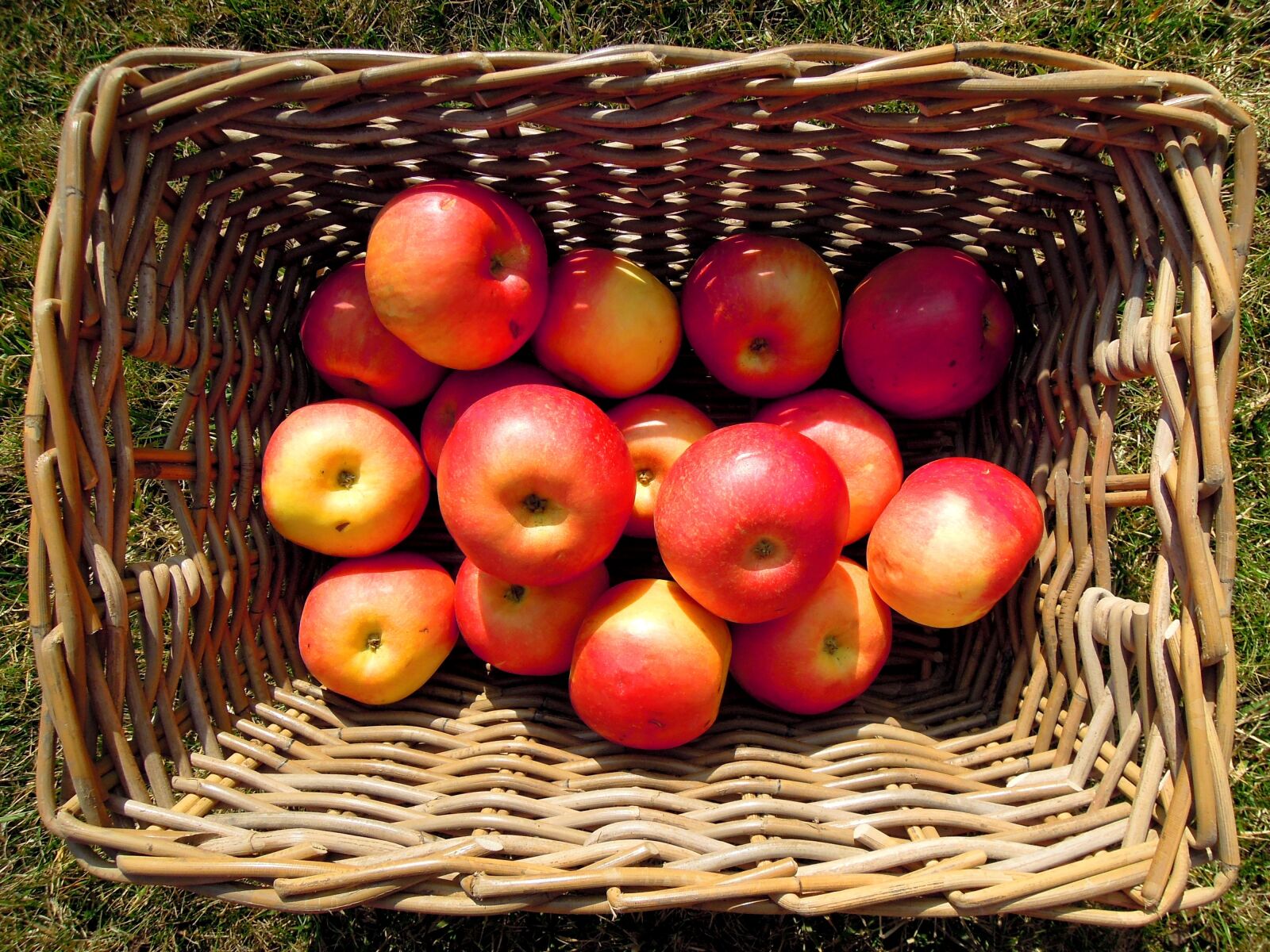 Nikon Coolpix P300 sample photo. Apple, fruit, basket photography